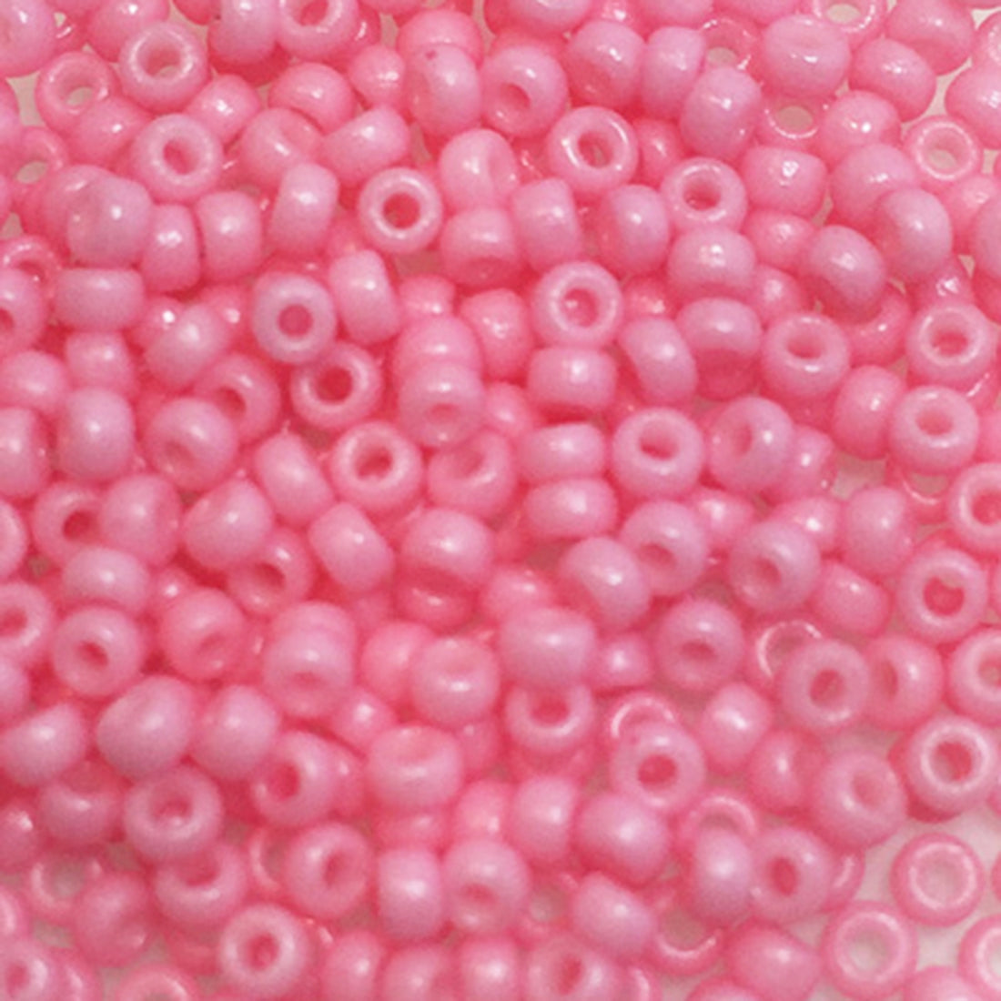 Sundance Size 14 466