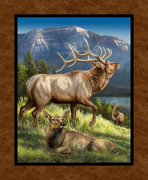 Pink Birdhouse w/ Lights