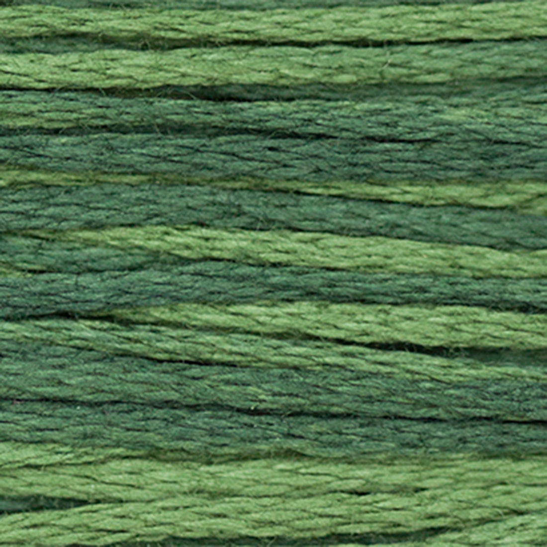 Weeks Dye Works Floss Juniper