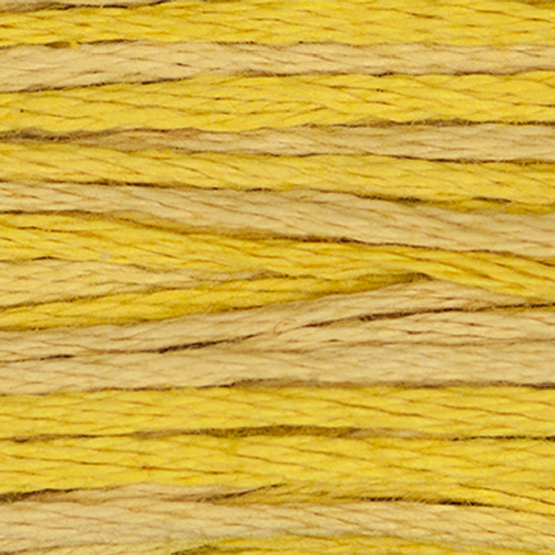 Weeks Dye Works Floss Curry