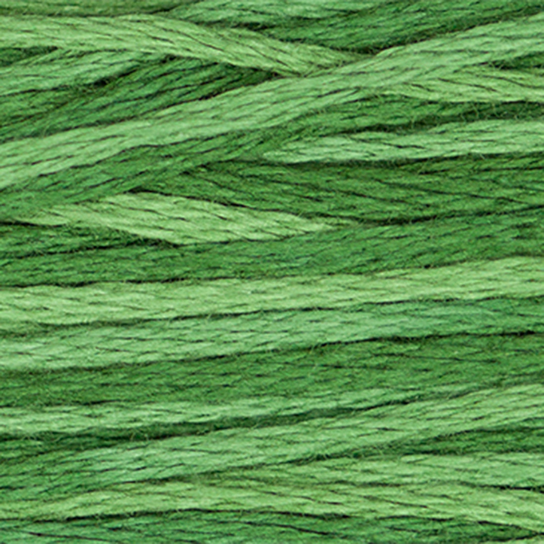 Weeks Dye Works Floss Monkey Grass