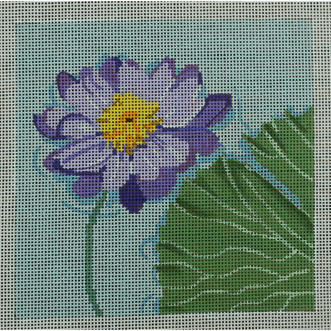 Kew Gardens- Water Lily