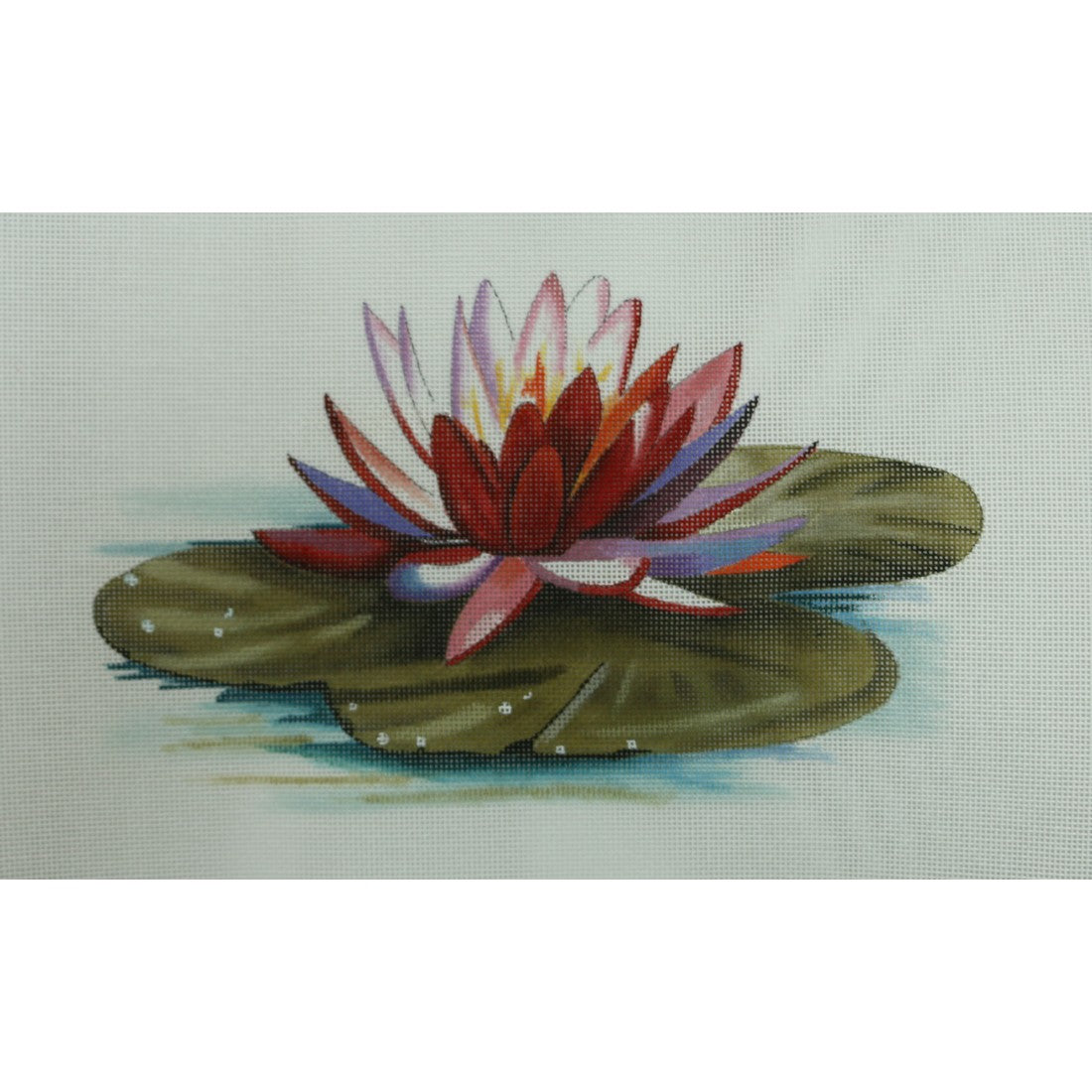 Lily Pad & Flower