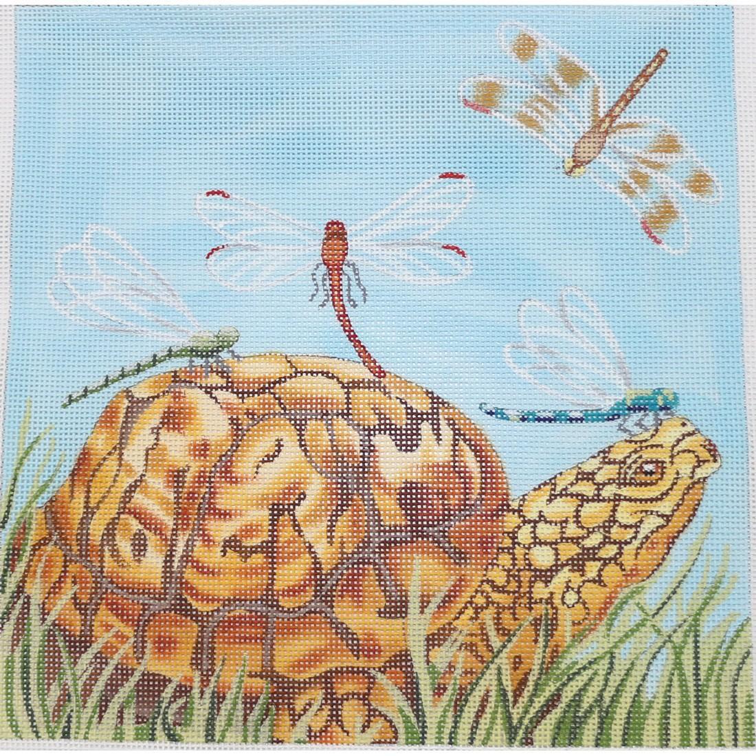 Turtle Schoolbus