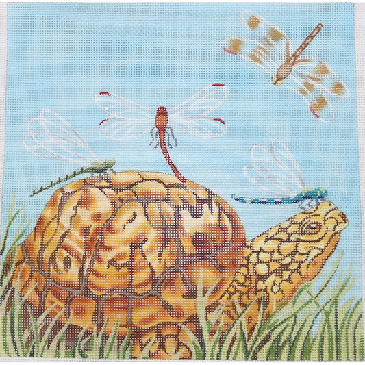 Turtle Schoolbus