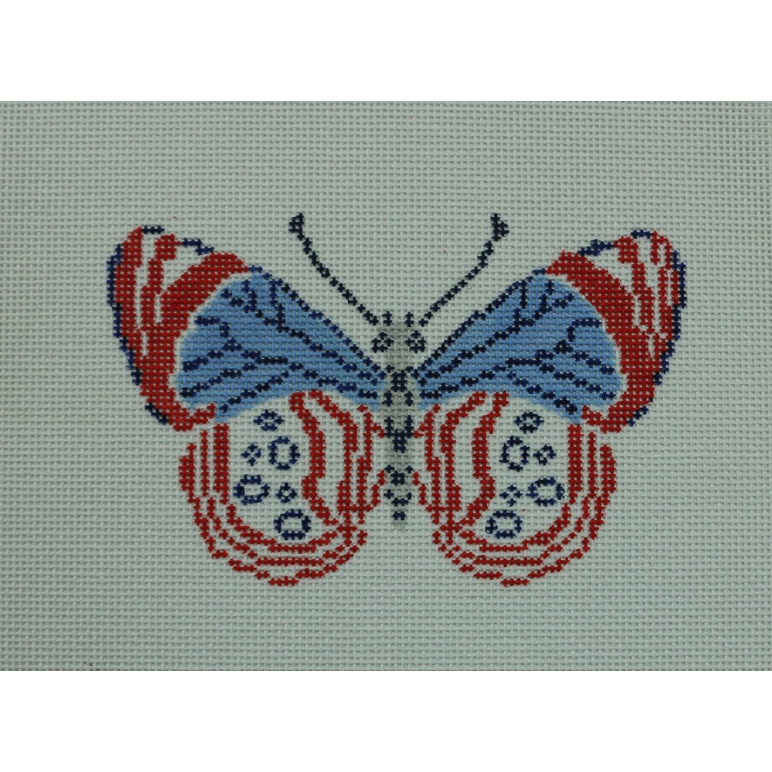 Patriotic Butterfly