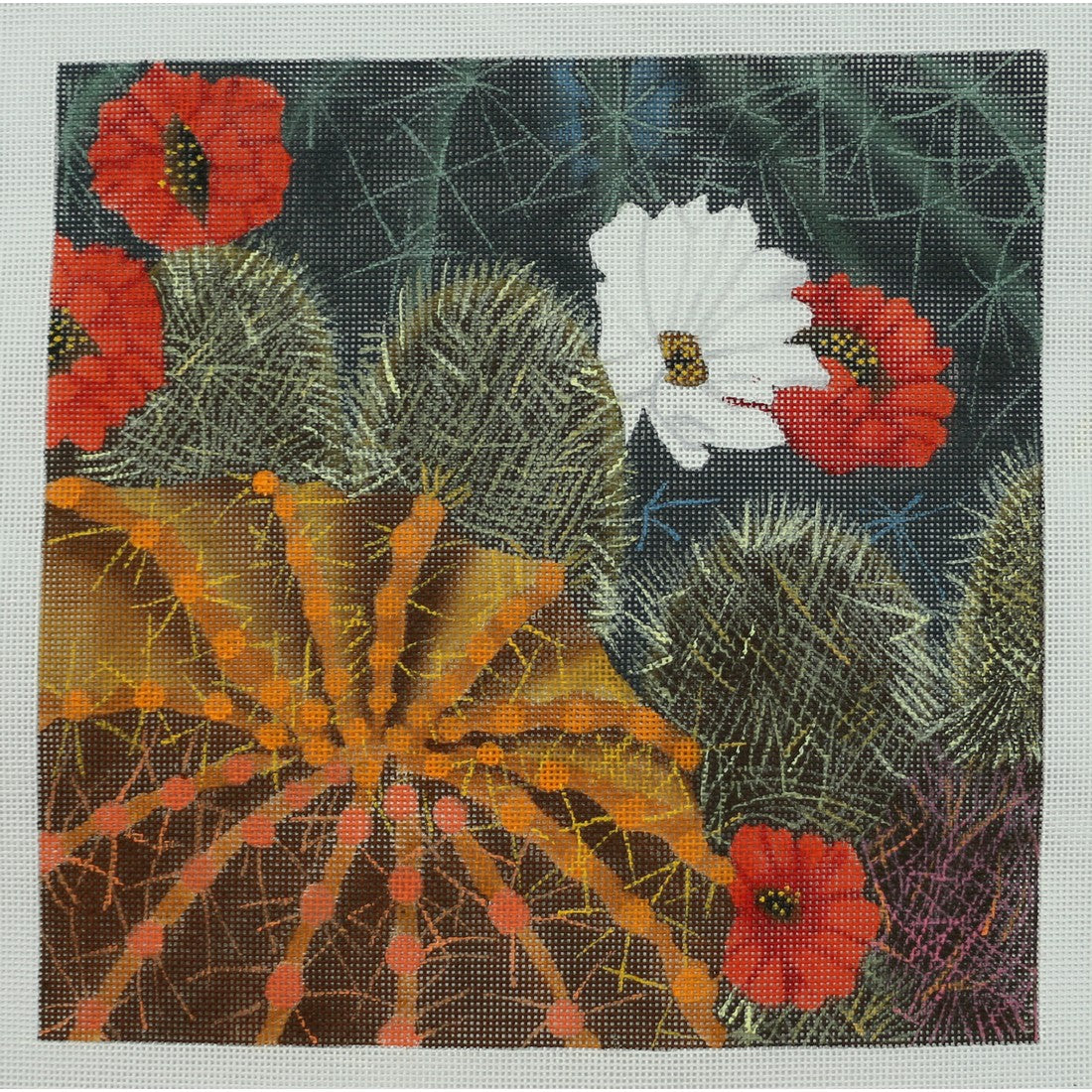 Desert Blooms 1