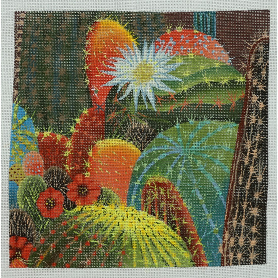 Desert Blooms 2