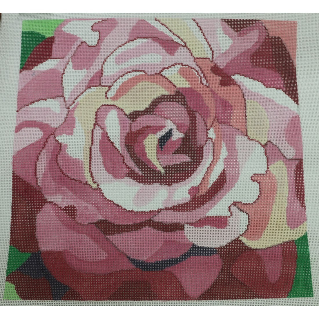 Large Begonia
