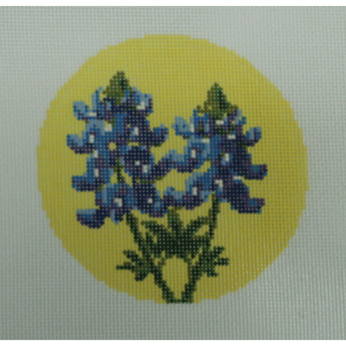 Bluebonnets