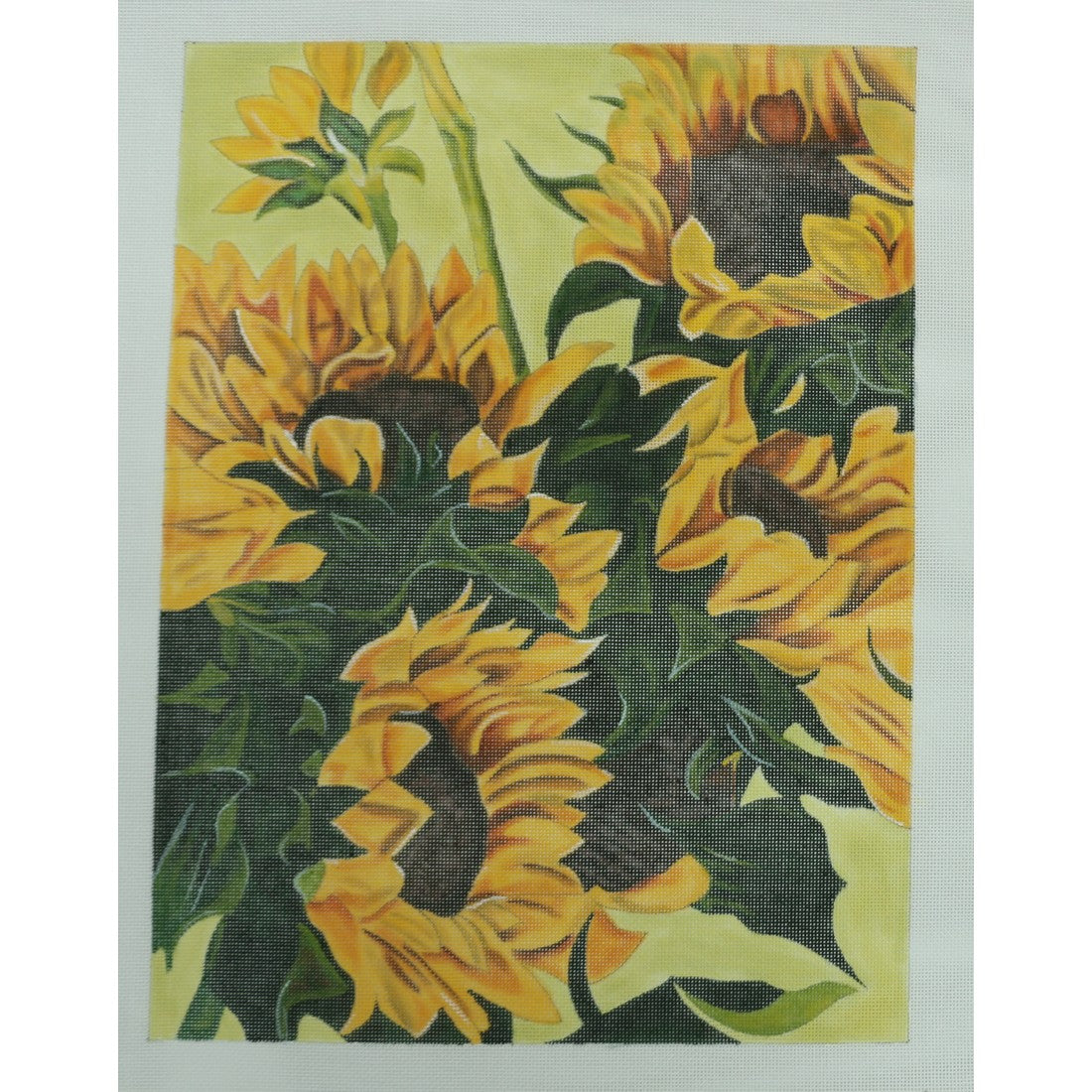 Sunflower Garden