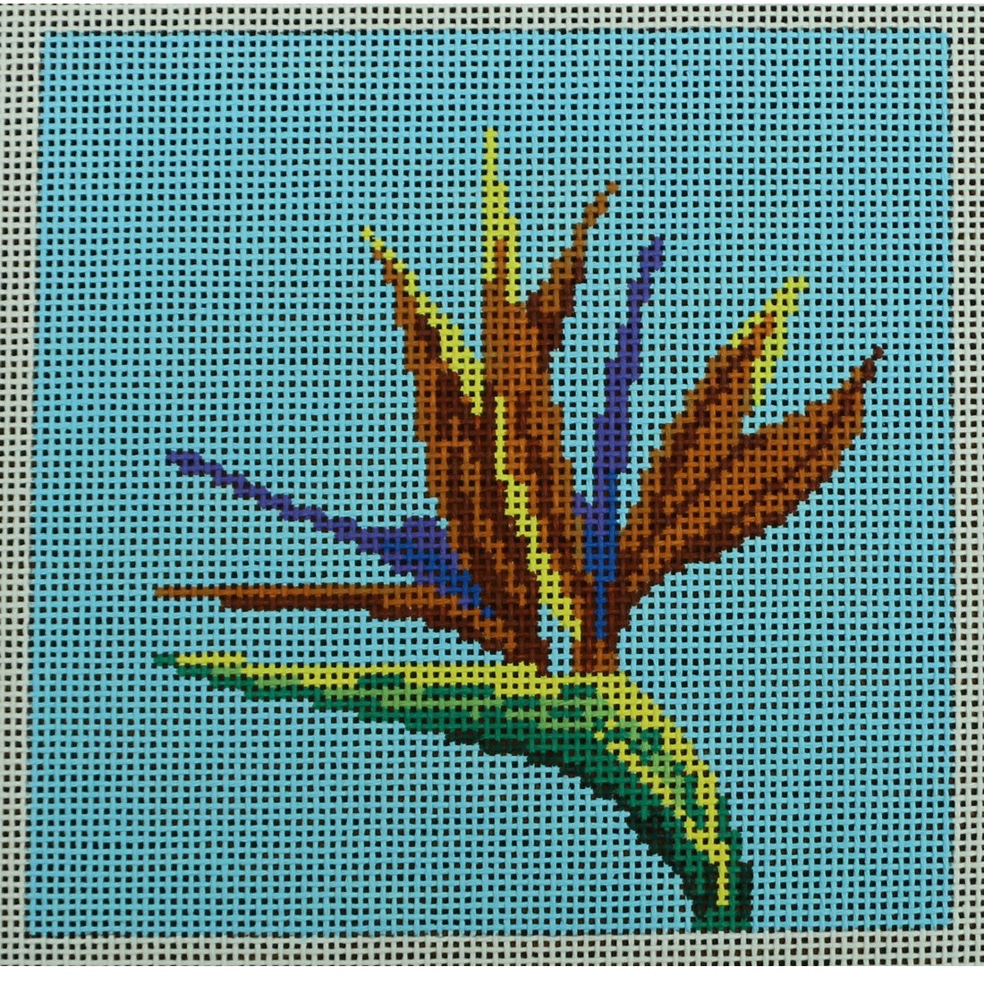Bird of Paradise