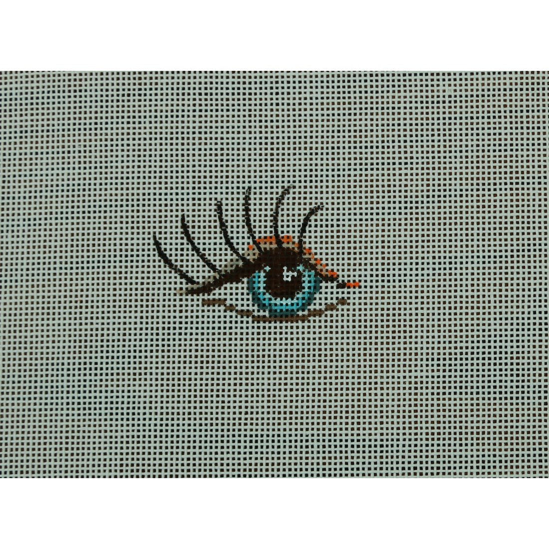 Eye