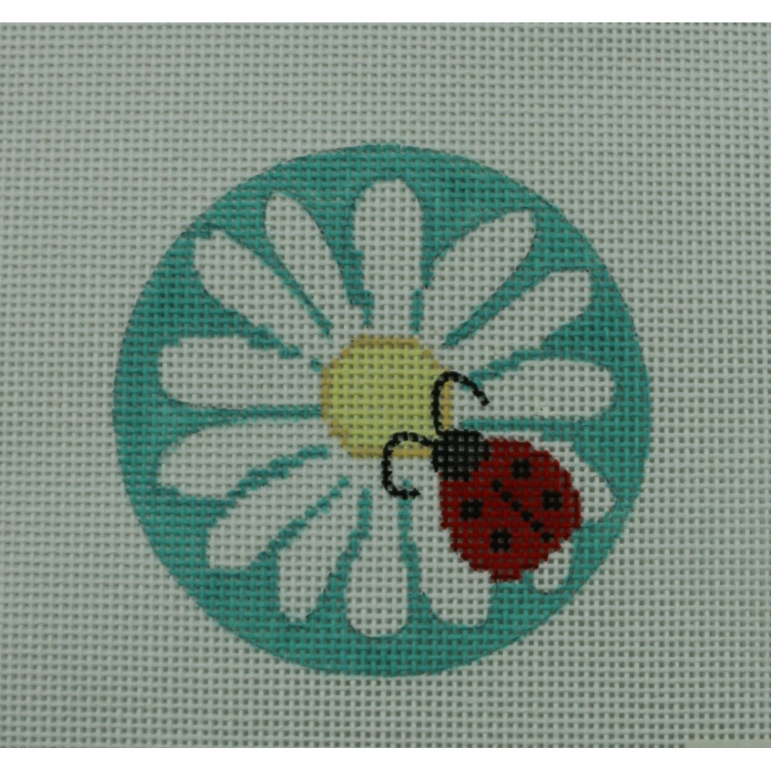 Daisy with Ladybug