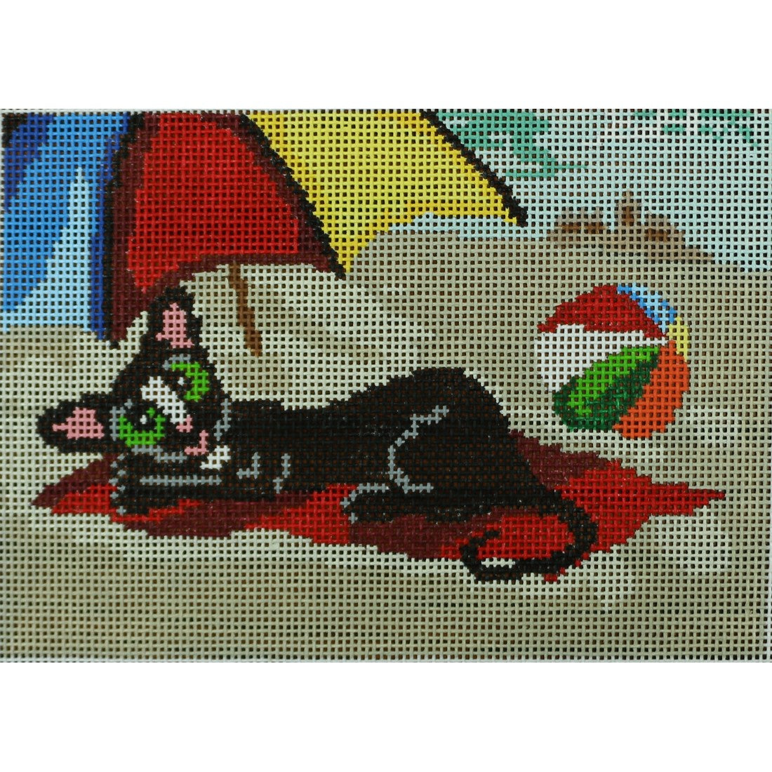 Cat at the Beach