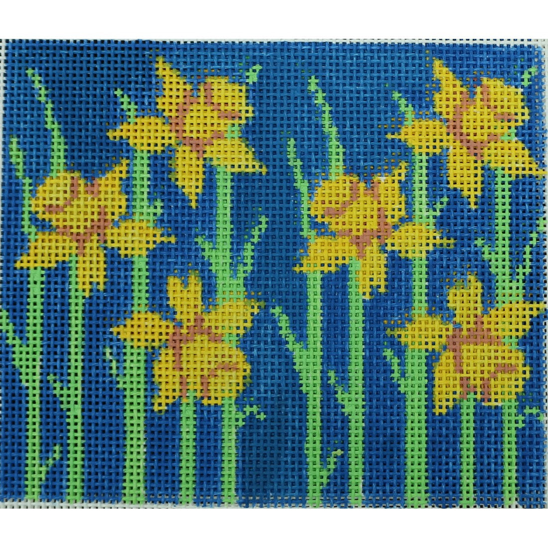 Large Daffodil