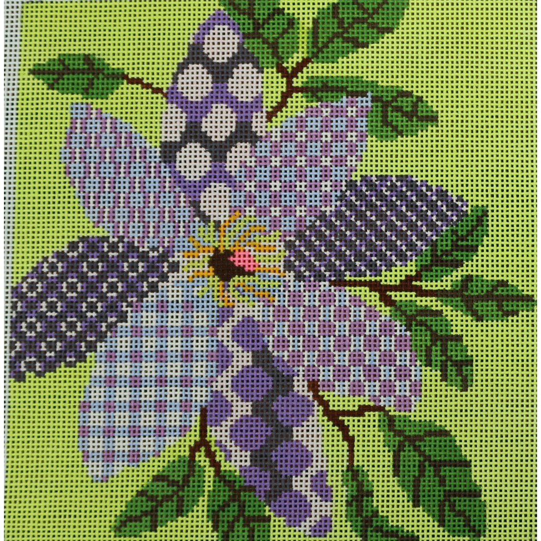 Clematis