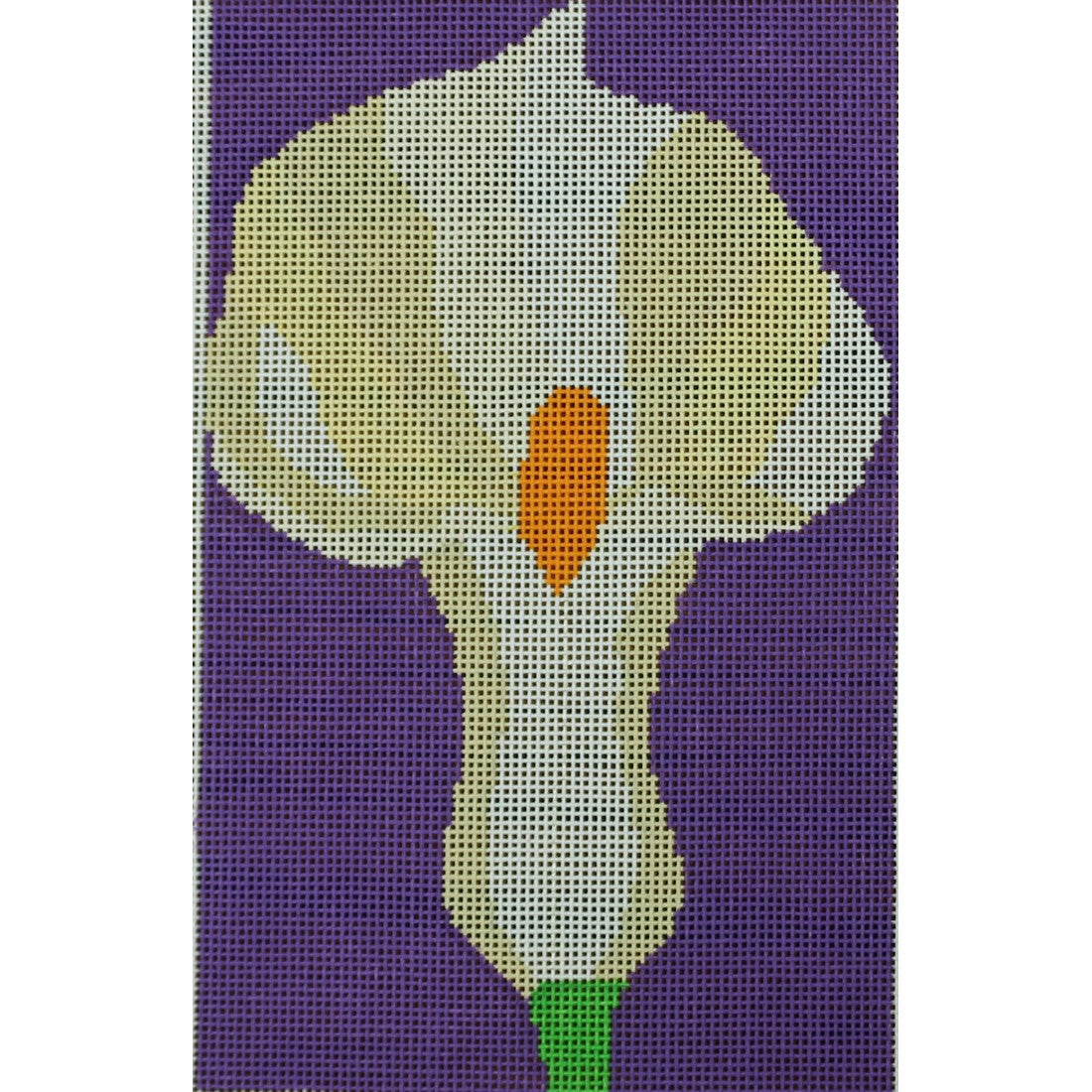 Calla Lily