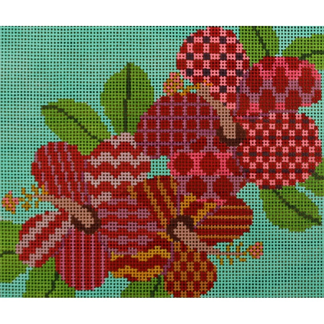 Hibiscus