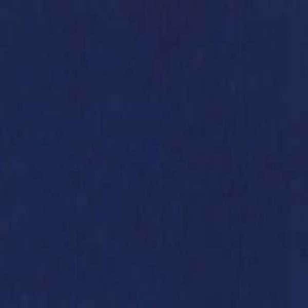 Elephant on Blue & Lime