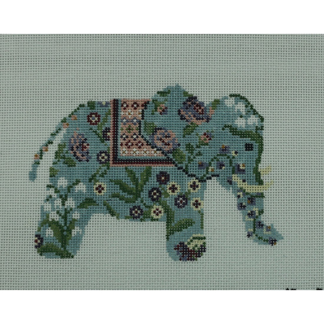Evie the Elephant