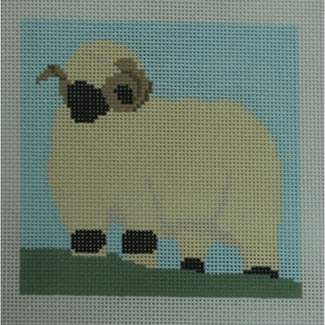 Horned Sheep