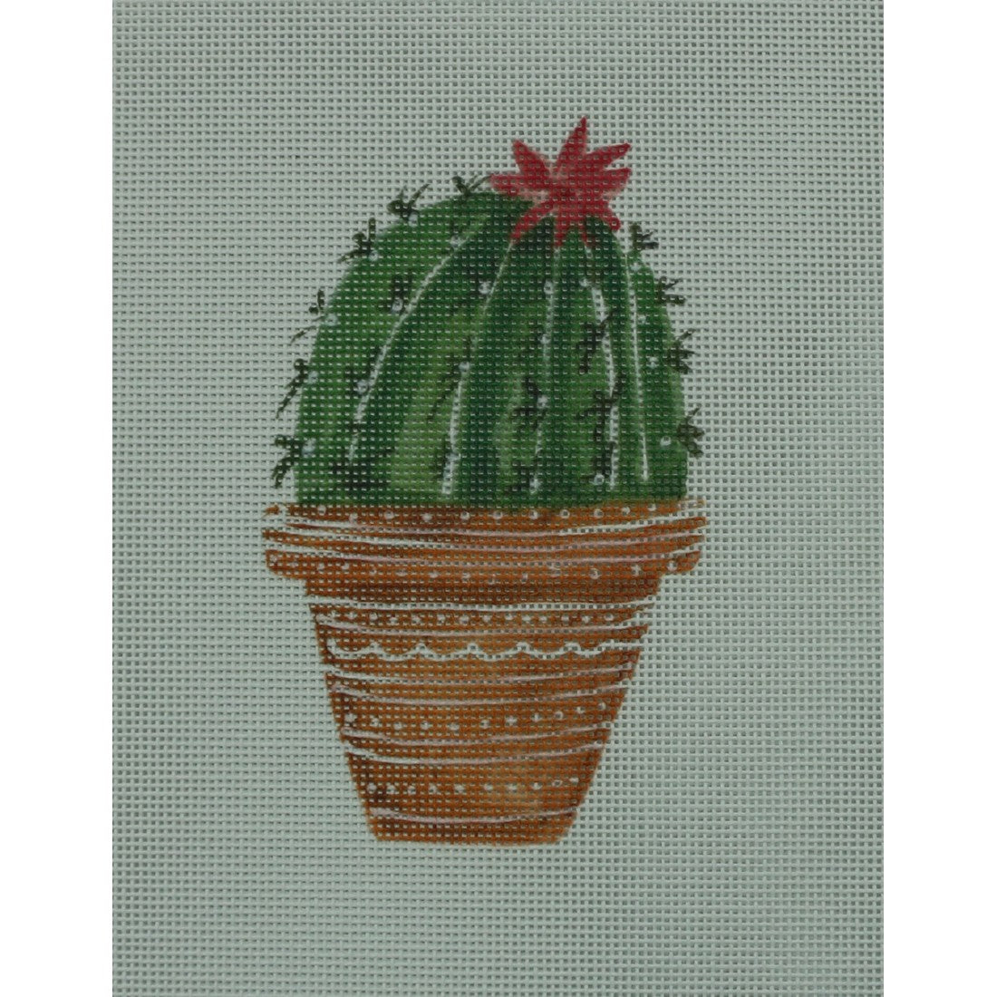 Cactus with Flower Top