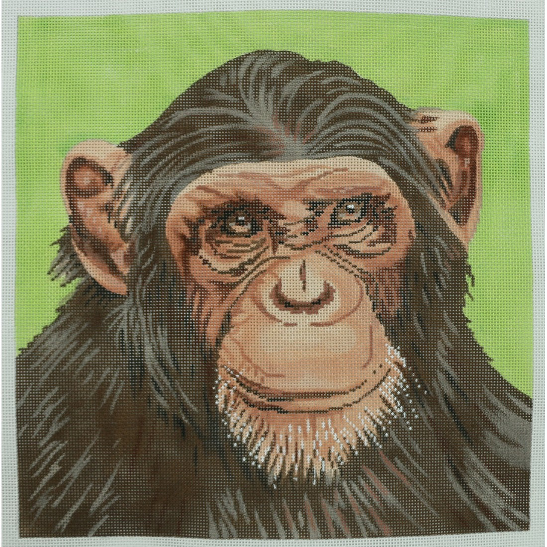 Monkey on Lime