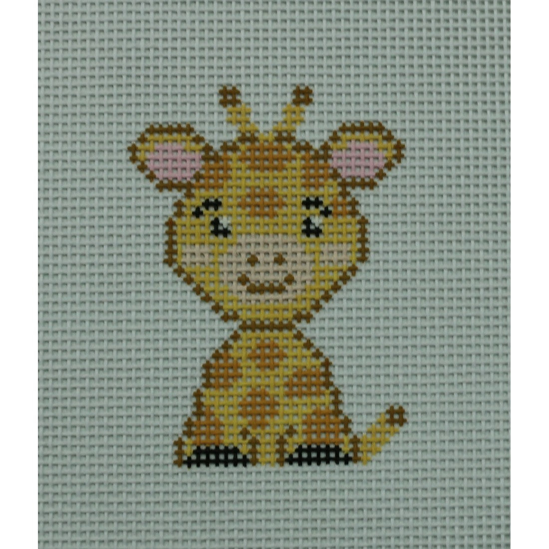 Baby Giraffe