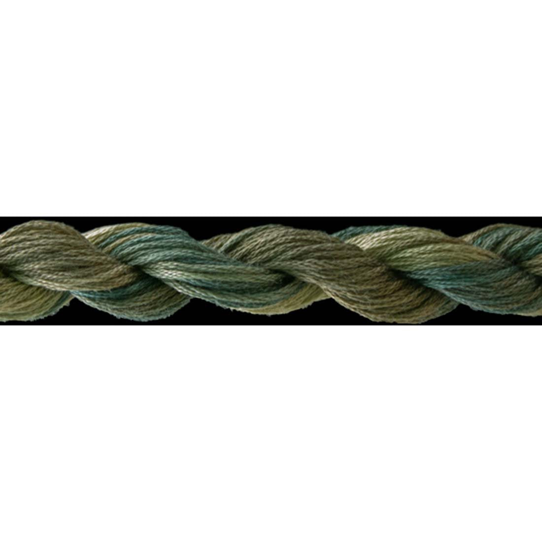 Overdyed Floss 10655