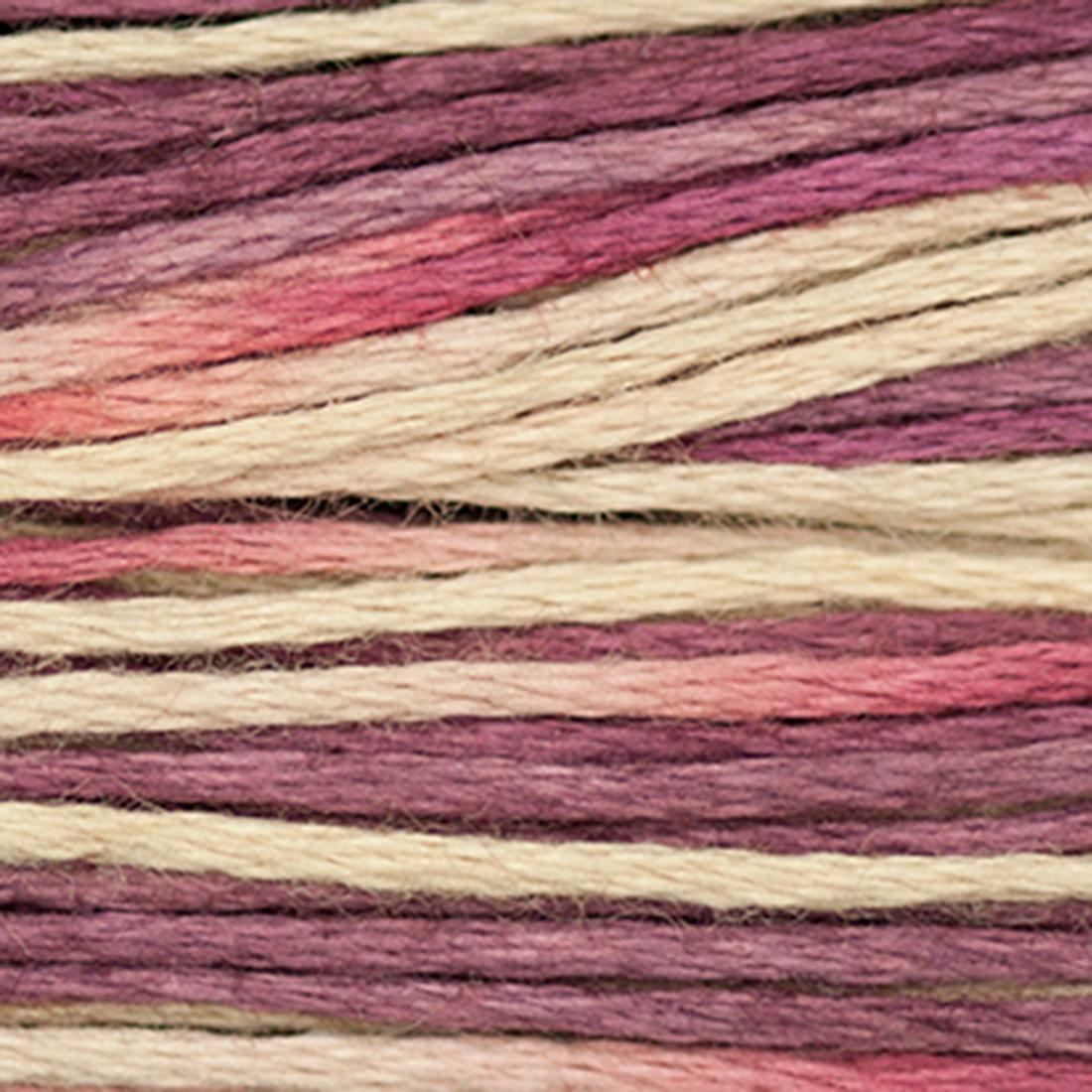 Weeks Dye Works Floss Raspberry Tart