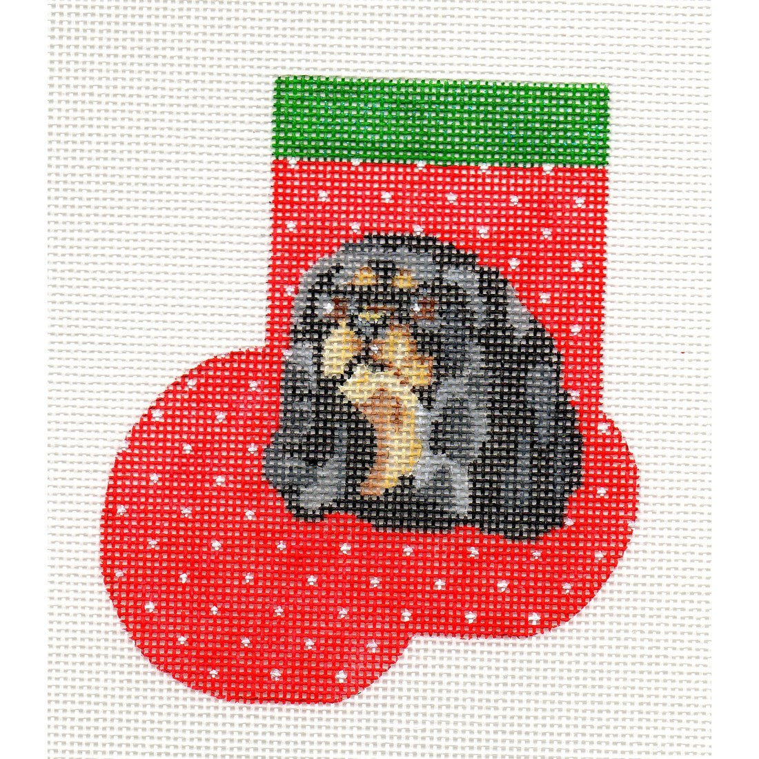 King Charles Cavalier, Black & Tan