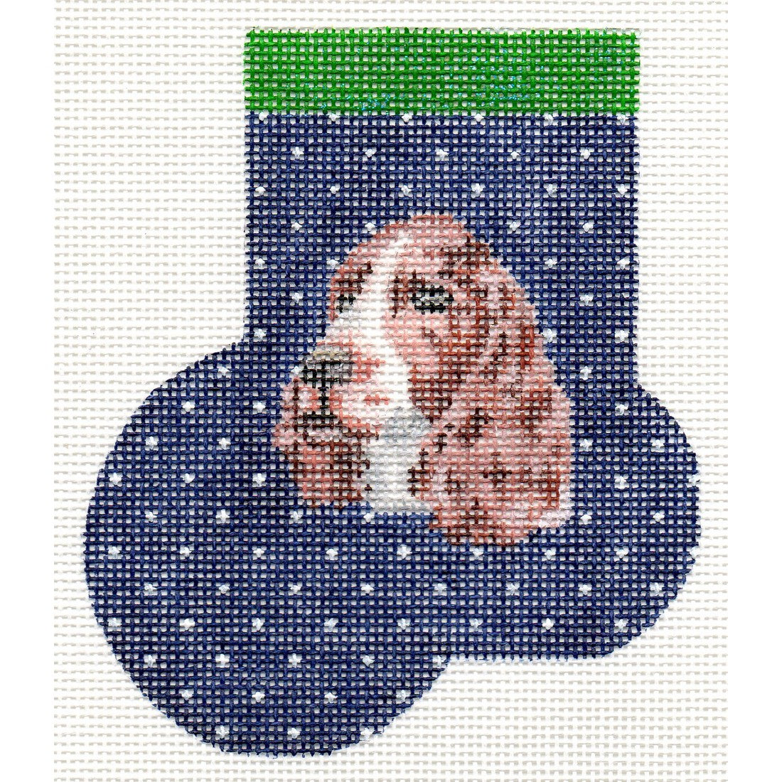 English Springer Spaniel