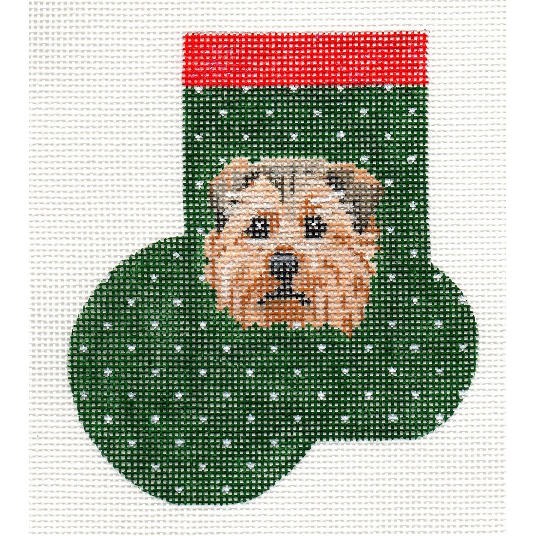 Norfolk Terrier
