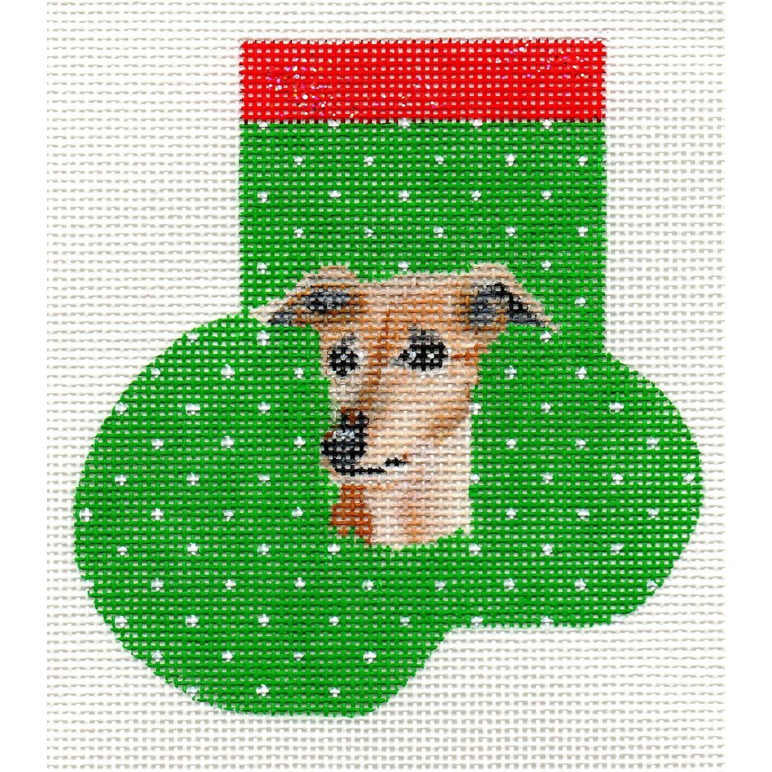 Whippet or Italian Greyhound