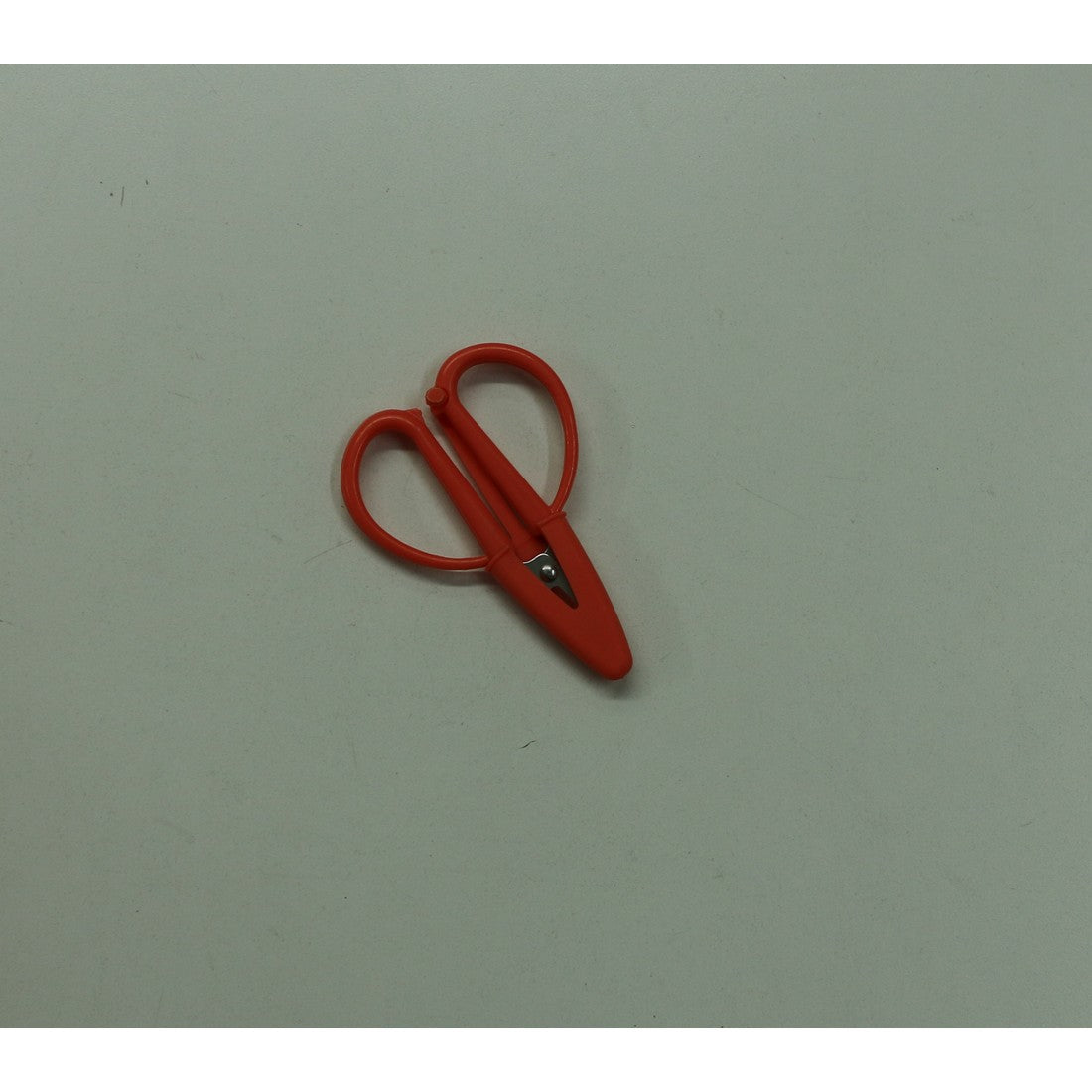 Super Snips, Orange Cup Coral