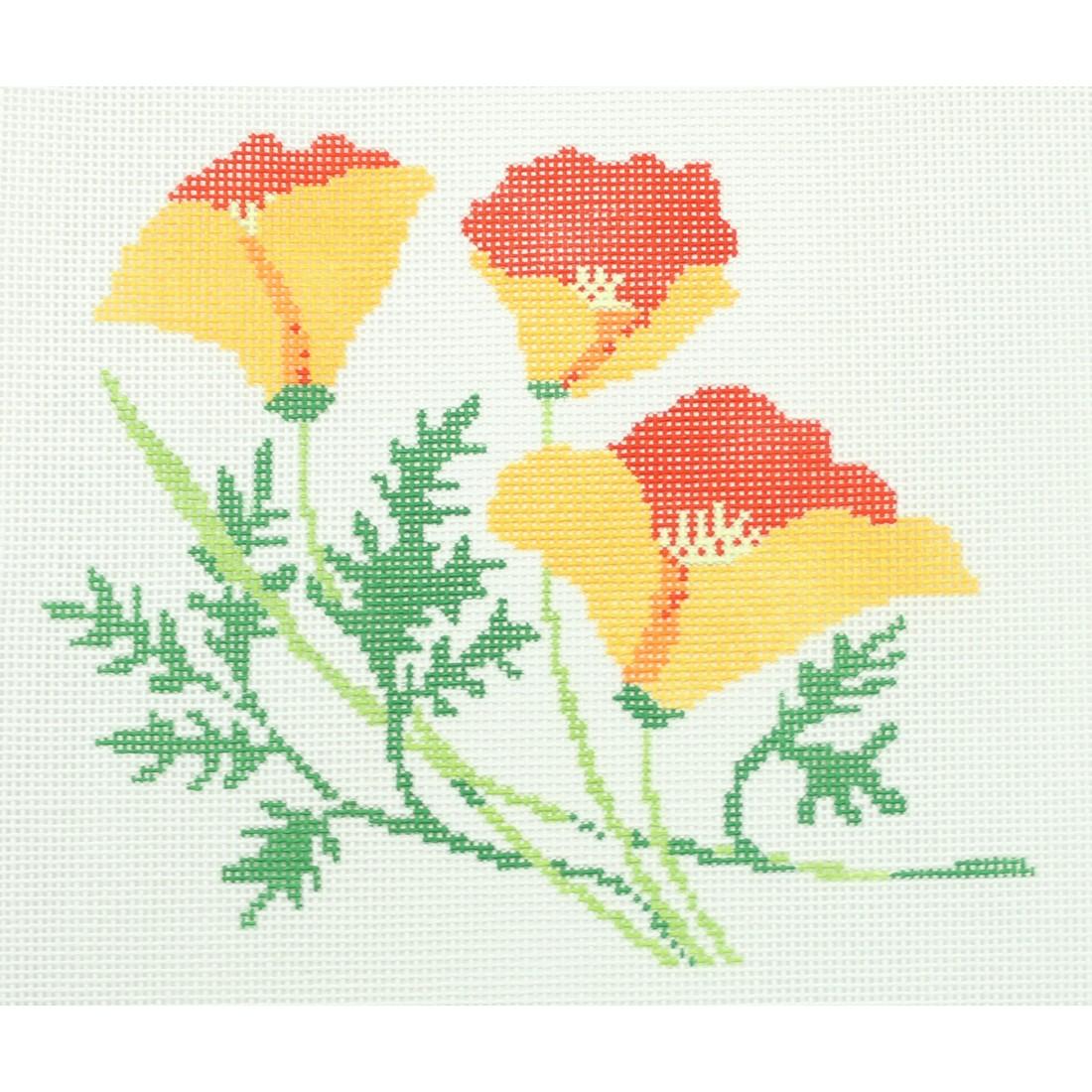 California Poppy