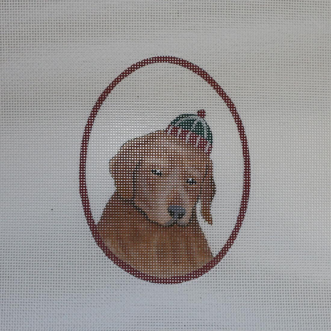 Golden with Green/Red Hat