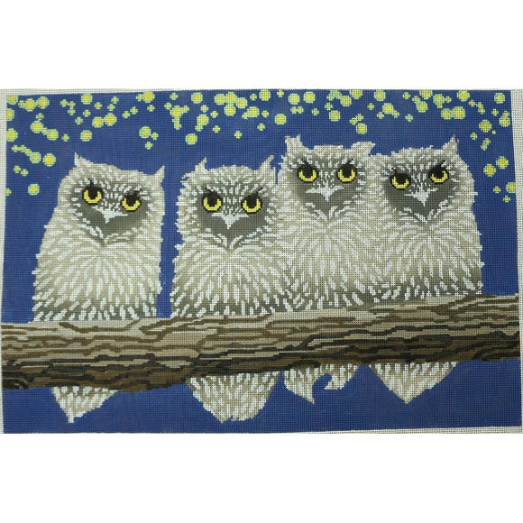 Owls Night