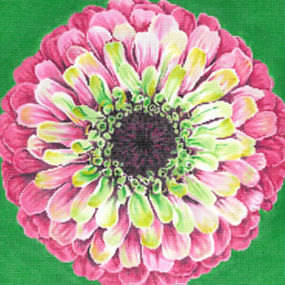 Grenadine Zinnia on Green