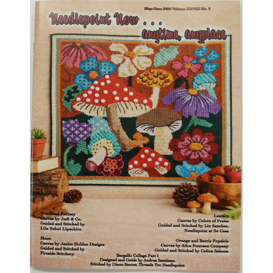 Needlepoint Now - May/June 2026