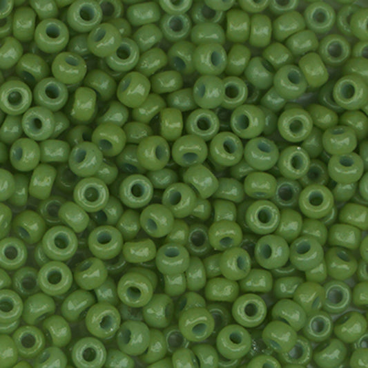 Sundance Size 14 873