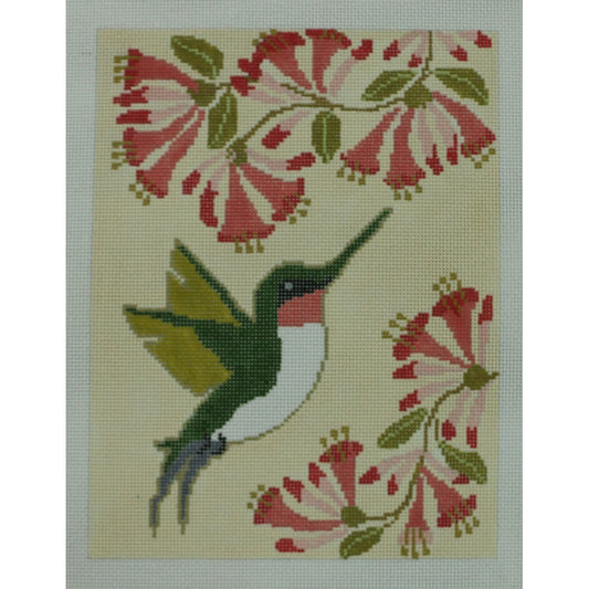 Honeysuckle Hummingbird