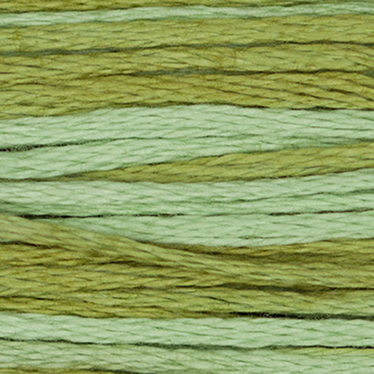 Weeks Dye Works Floss Dried Sage