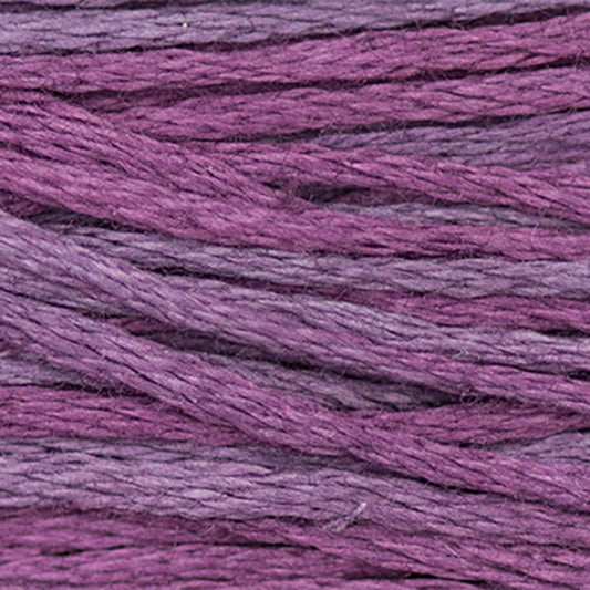 Weeks Dye Works Floss Concord