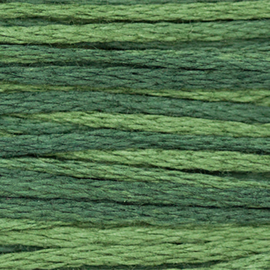 Weeks Dye Works Floss Juniper