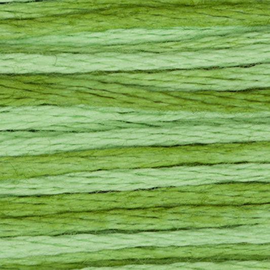 Weeks Dye Works Floss Meadow