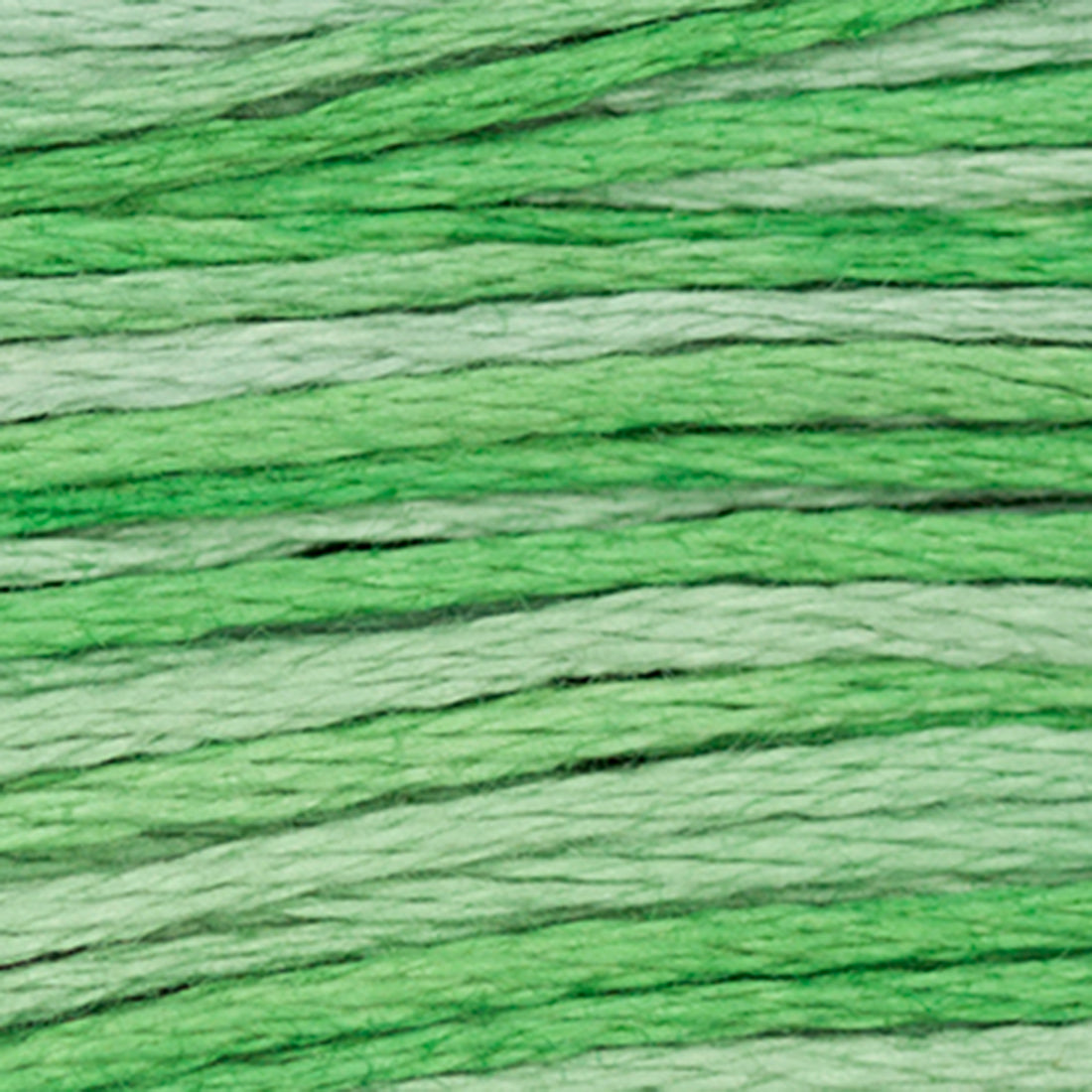 Weeks Dye Works Floss Cactus