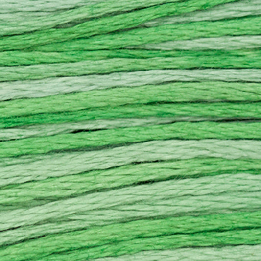 Weeks Dye Works Floss Cactus