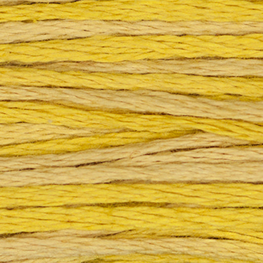 Weeks Dye Works Floss Curry